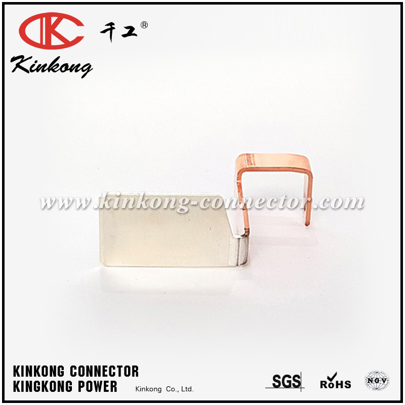 Positive Battery Terminal