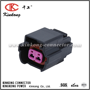 6189-1152 VW 06A973722 2 pole female fuel injector connector CKK7026D-2.2-21