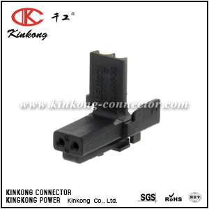 DTMN06-2S 2 hole female waterproof plug