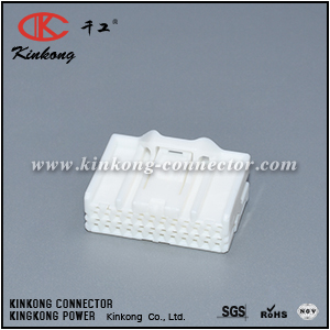 6098-5283 24 hole female wiring connector