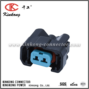 6189-0553 2 hole female fuel injector plug for VW 1121700222AB001 CKK7027D-2.2-21