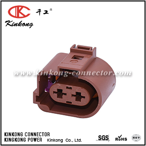 3B0 973 752 A  2 pole female VW Audi connector 1121700263AE001 CKK7025A-6.3-21